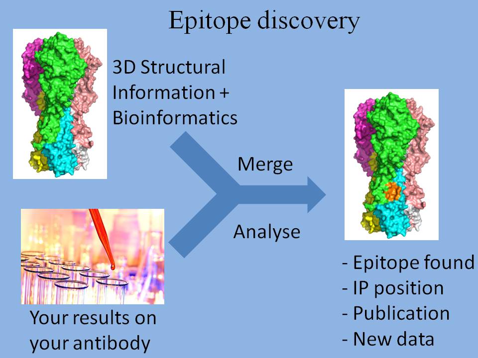 Bio3D-Protein: Welcome